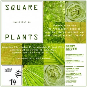 Square Plants